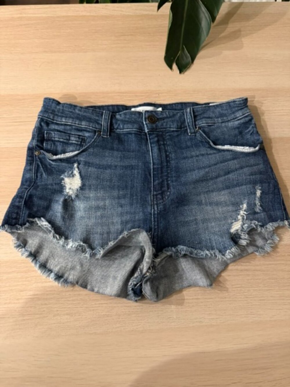 High Rise Dolphin Denim Short